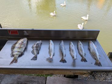 Fishing with Michael