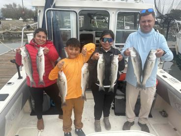 Geat overall experience 