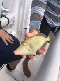 what a great experience