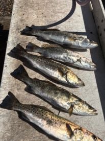 Stop your searching, and book with River City Charters! (Travis)