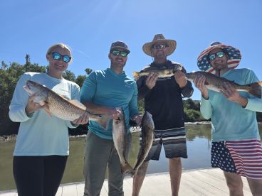 FIVE STARS! \u2b50\ufe0f