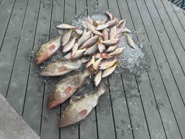 amazing day on the water