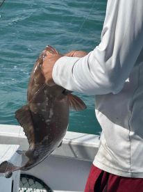 amazing day on the water