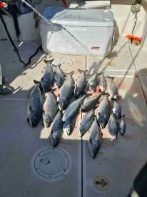 October fishing trip