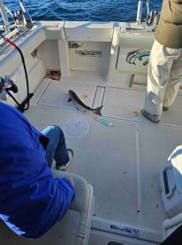 October fishing trip