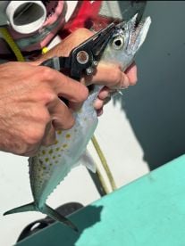 HIGHLY recommend Captain Kyle and Ethan