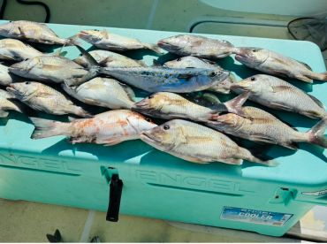 HIGHLY recommend Captain Kyle and Ethan