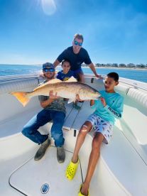 Highly recommended !!