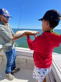 Highly recommended !!