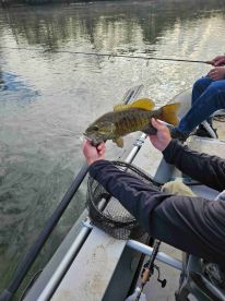 Awesome fishing guide 