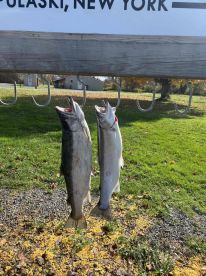 Captain Rob knows Fish!