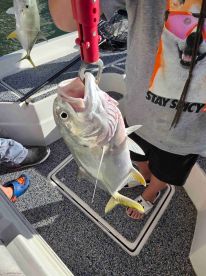 Great Fishing Charter 