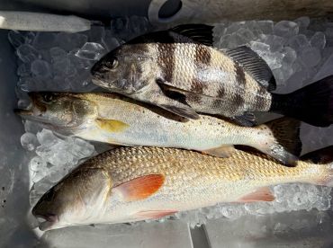 Great Captain, Great Fishing, Great Day!