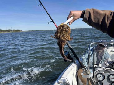 Great trip with Capt Joesph