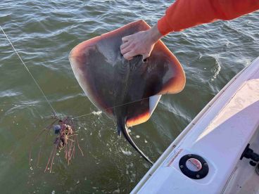 Great trip with Capt Joesph