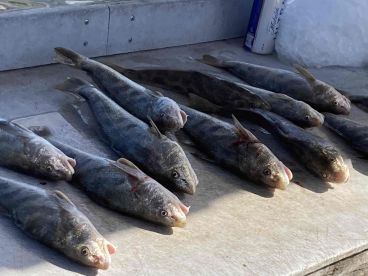 October fishing trip