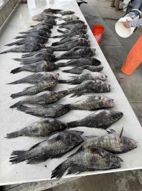 Captain Mike is the real deal!!