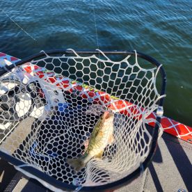 Fun day on Table Rock Lake