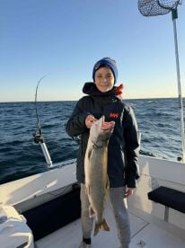 Why Knot is a NO BRAINER