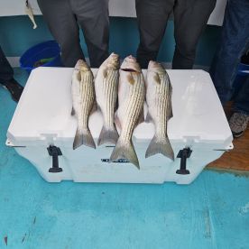 October fishing trip