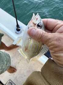 Good family day of fishin