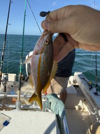 Good family day of fishin