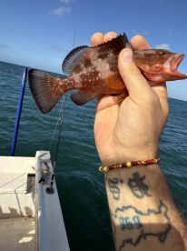 Good family day of fishin