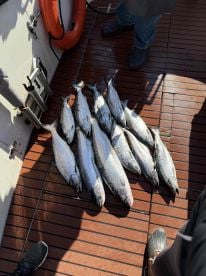 Great first time experience!