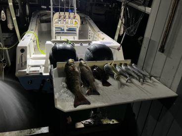 Twice and looking forward to more!!