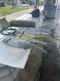 Best fishing adventure in Miami