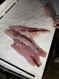 10\/10 Recommended!!