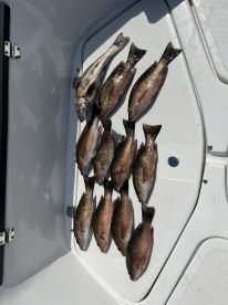Captain was 5 stars and fishing was awesome