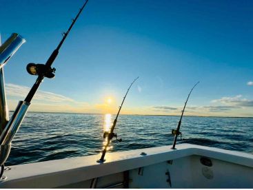 Captain was 5-star rated and now I know why!