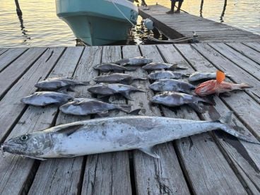 Amazing Canc\u00fan fishing experience