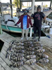 Big Sheepshead