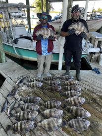 Big Sheepshead