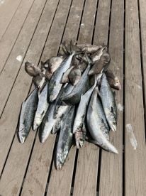 October fishing trip