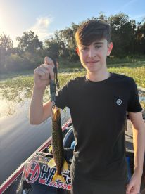 Absolutely excellent!