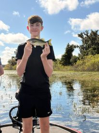 Absolutely excellent!