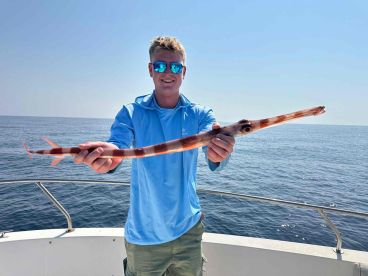 Amazing fishing and snorkelling.
