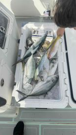 excellent experience