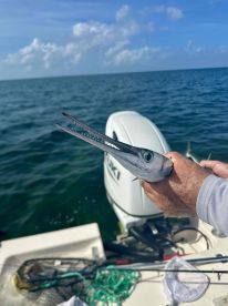 Expert Captain, Unforgettable Memories