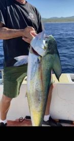 Johnny and Ceasar were outstanding   I\u2019d highly recomend them for a Cabo fishing trip \ud83d\udc4d