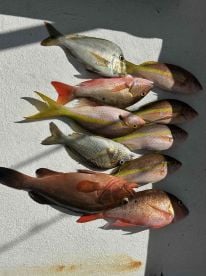 Good day on the water!