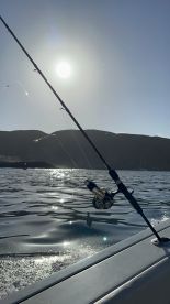 Great half day fishing 