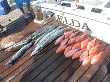 An excellent day to enjoy a pleasant fishing experience on the open sea. 