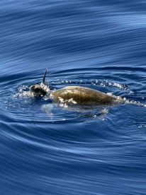 amazing day on the water