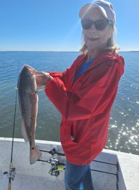 CLEAN is an understatement!