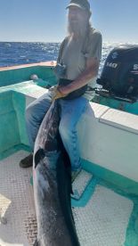 Great Marlin Fishing In San Carlos