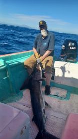 Great Marlin Fishing In San Carlos